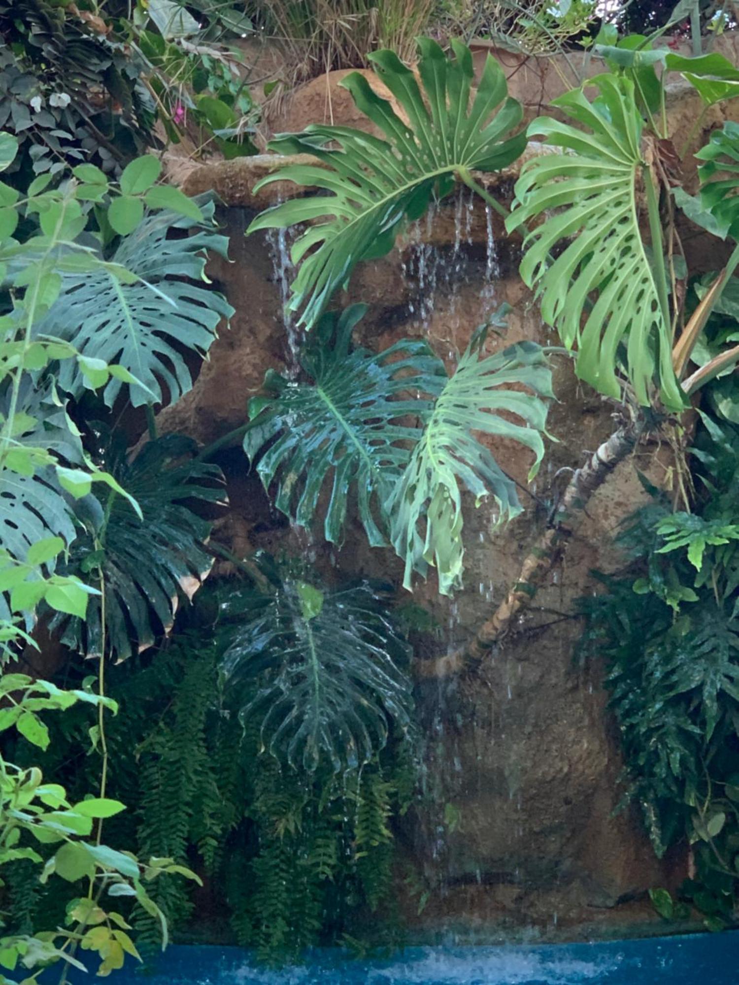 Tropical Oasis Lägenhet Ouakam Exteriör bild