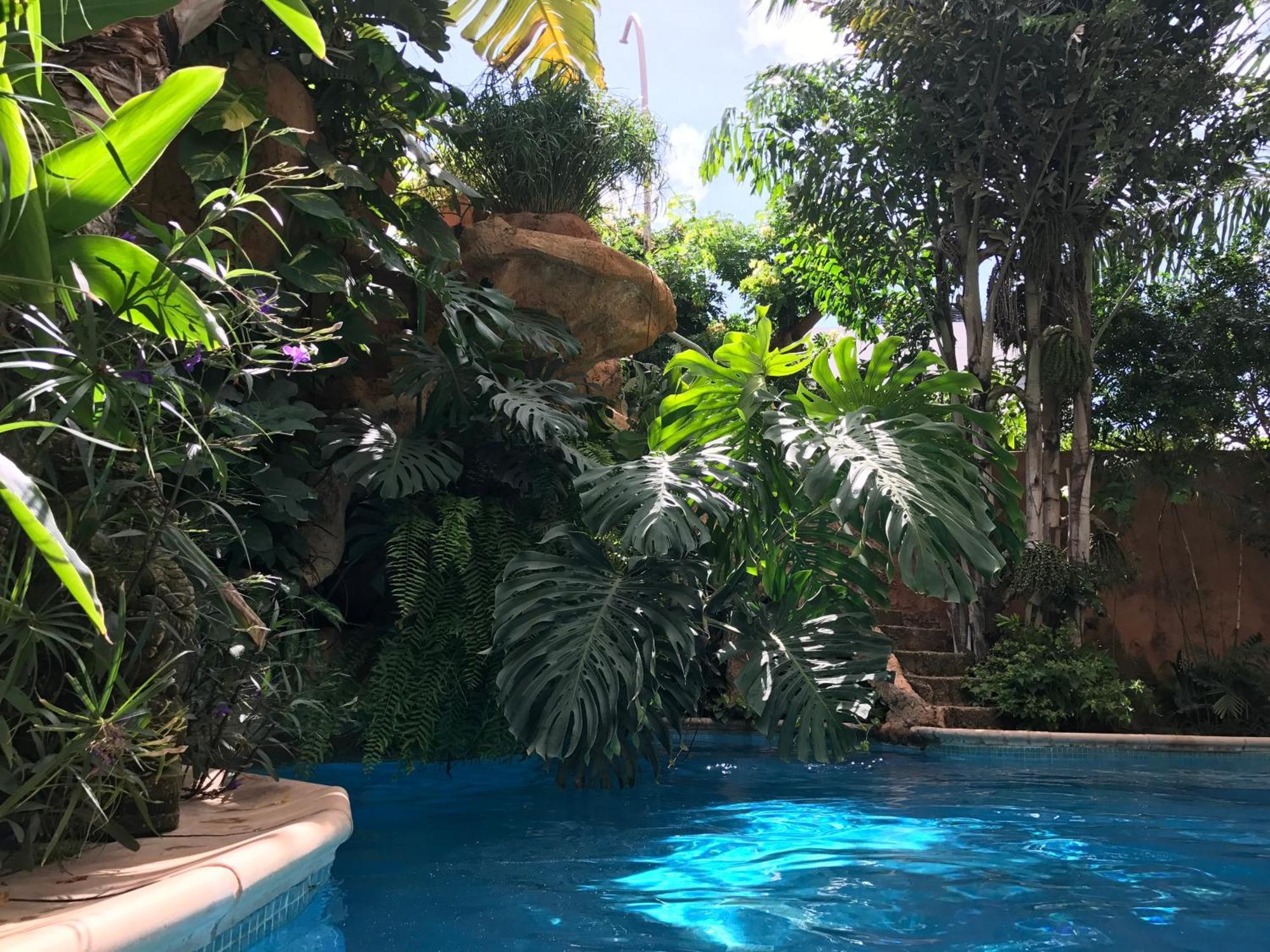 Tropical Oasis Lägenhet Ouakam Exteriör bild